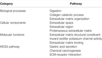 Identification and Verification of Potential Biomarkers in Gastric Cancer By Integrated Bioinformatic Analysis